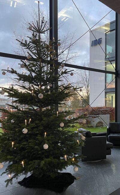 ibg-christmas-greeting-2025